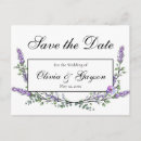 Recherche de fleurs lavande cartes postales Eucalyptus