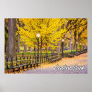 Search for central park posters New york
