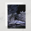 Recherche de starry sky cartes postales Night