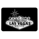 Recherche de lasie magnets Le nevada