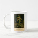 Search for agave mugs Cactus