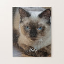 Search for ragdoll cat puzzles Feline