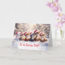 Search for raccoon christmas cards Squirrel