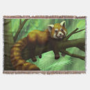 Search for red panda blankets Animal