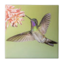Search for hummingbird tiles Tropical