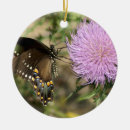 Recherche de chardon ornements Fleur
