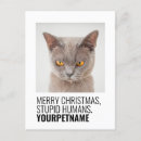 Search for pet christmas postcards Cat