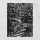 Recherche de caches cartes postales Photographie