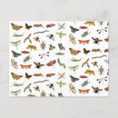 Search for insect postcards Retro