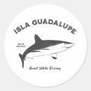 Search for shark diving stickers Great white shark