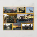 Search for fort myers postcards Sunset