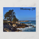 Recherche de monterrey cartes postales Plage