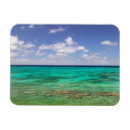 Search for environment magnets Beach