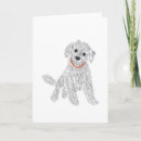 Recherche de labradoodle Chien drôle