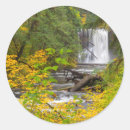 Search for woodland park stickers Jamie