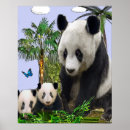 Search for panda bear posters Animals
