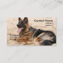Search for resting business cards Dog