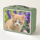 Recherche de cats boxes Girl
