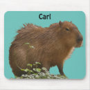 Recherche de capybara tapis souris Rongeur