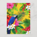 Recherche de toucan vœux cartes Hibiscus