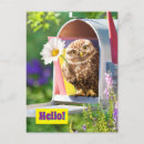 Recherche de hibou drôle invitations Mignon