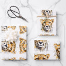 Recherche de ours gris dessous de verres Portrait