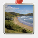 Search for gisborne Shore