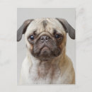 Search for cute faces postcards Baby