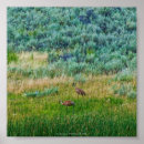 Search for sandhill art Wildlife