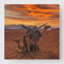 Recherche de chameau horloges Sable