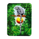 Recherche de lemur magnete Pour tous