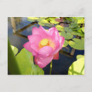 Search for ornament postcards Water
