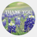 Search for lupine flower stickers Texas