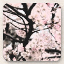 Search for cherry blossom barware Flora