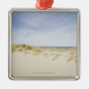 Search for nantucket ornaments Island