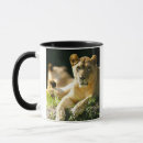 Search for lion pride mugs Animal