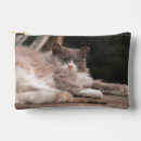 Recherche de fourrure cosmétiques pochettes Animal