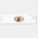 Search for bird bumper stickers Wild