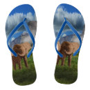 Search for elephant sandals Wildlife