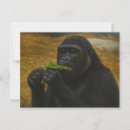 Search for mind postcards Nature photography