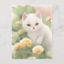 Recherche de petit chat blanc cartes postales Pour tous
