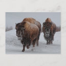 Recherche de image de couleur cartes postales Nature