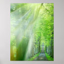 Search for nature spirits posters Outdoors