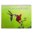Search for ruby throated photography Animal