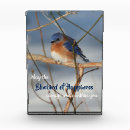 Search for bluebird Inspirational
