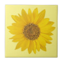 Search for single tiles Simple