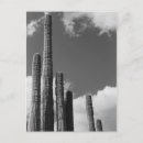 Recherche de pipe cartes postales Cactus