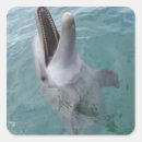 Search for bottlenose stickers Nature