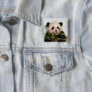 Search for panda square buttons Wildlife photos
