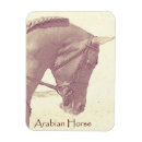 Recherche de horse rectangulaires magnets Équin